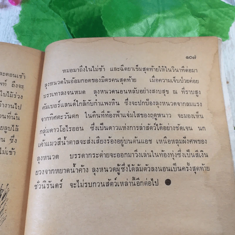 ลุงหนวด - ฟิลิป บราวน์ รูปที่ 7
