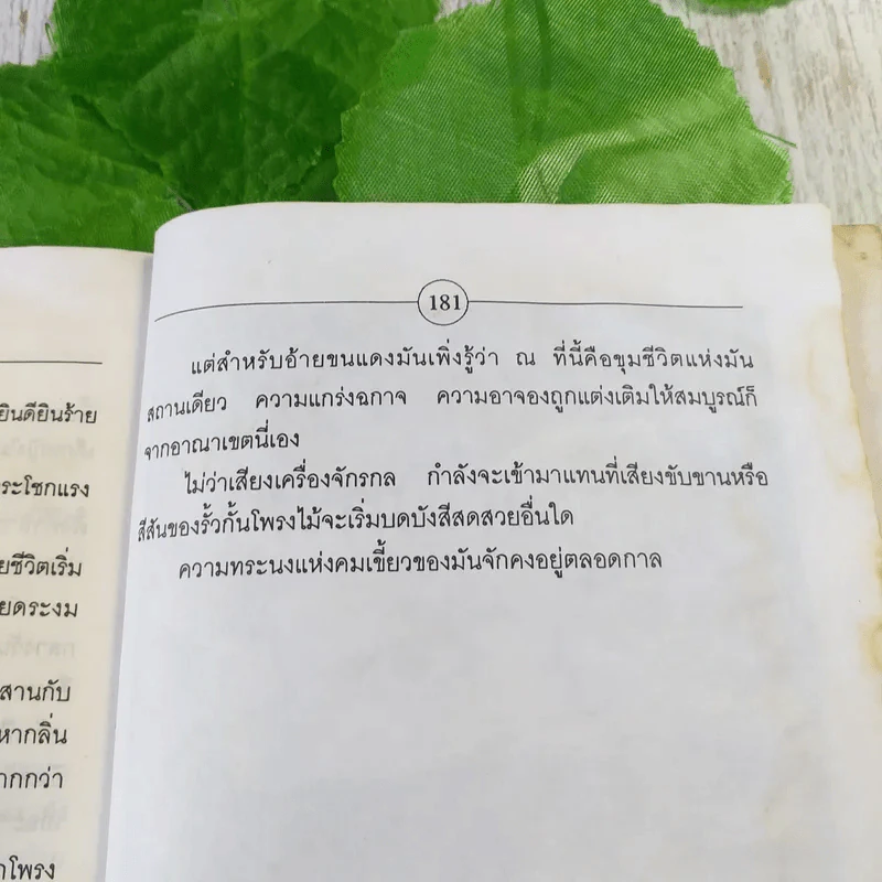 เขี้ยว - คมทวน คันธนู รูปที่ 9
