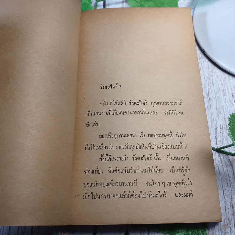 หอมกลิ่นป่า - ปราโมทย์ ทัศนาสุวรรณ รูปที่ 8