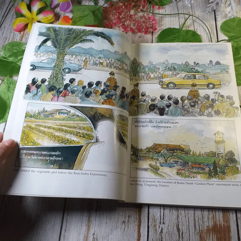 เรื่อง ทองแดง The Story of Tongdaeng ฉบับการ์ตูน ภาพสี รูปที่ 9