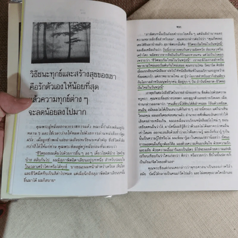 สายลม แสงแดด - วิลาศ มณีวัต รูปที่ 14