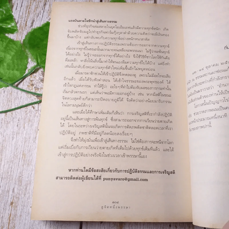 ดูจิตหนึ่งพรรษา - ปัญญาวโรภิกขุ รูปที่ 9