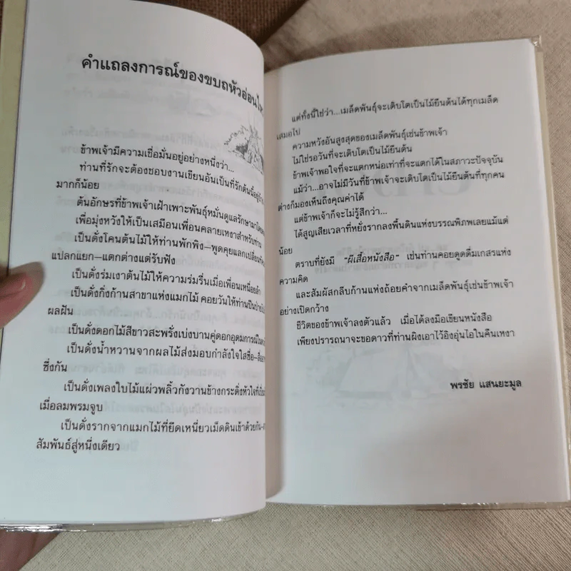 ขอดาว - พรชัย แสนยะมูล รูปที่ 10