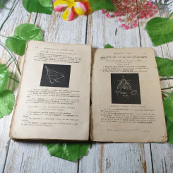 Chatty Readings In Elementary Science รูปที่ 11