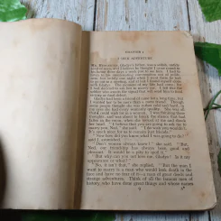 The Lost World - Longman's Simplified English Series รูปที่ 7