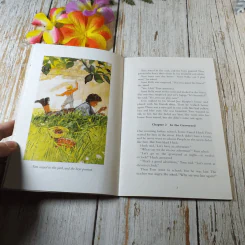 The Adventures of Tom Sawyer - Mark Twain รูปที่ 4