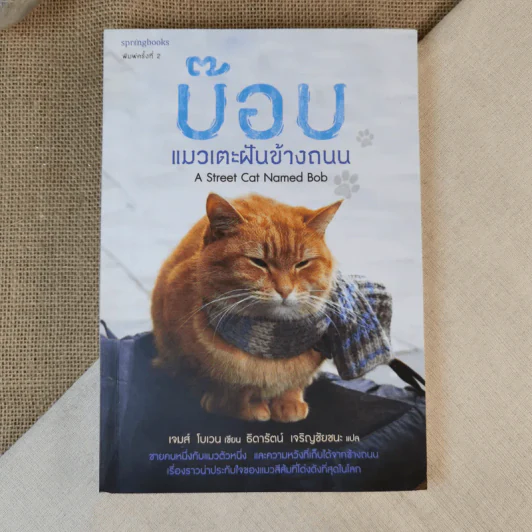 บ๊อบ แมวเตะฝันข้างถนน - เจมส์ โบเวน เขียน, ธิดารัตน์ เจริญชัยชนะ แปล รูปที่ 1