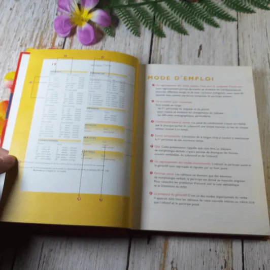 Bescherelle La Conjugaison+Grammaire - pour tous รูปที่ 6