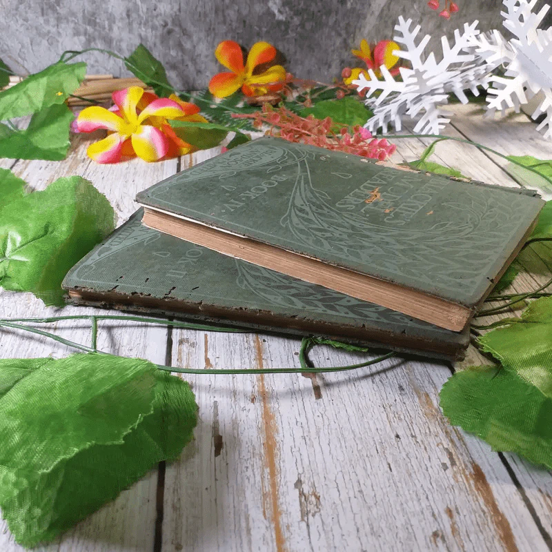 Blackie's Model Readers Book II,IV รูปที่ 3