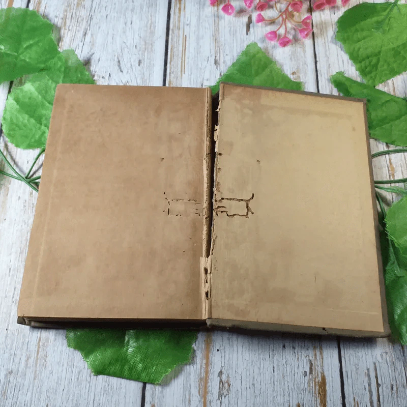The Victory Readers Book III - Thomas Nelson and Song L รูปที่ 8