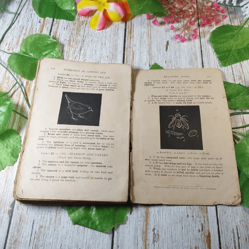Chatty Readings In Elementary Science รูปที่ 11
