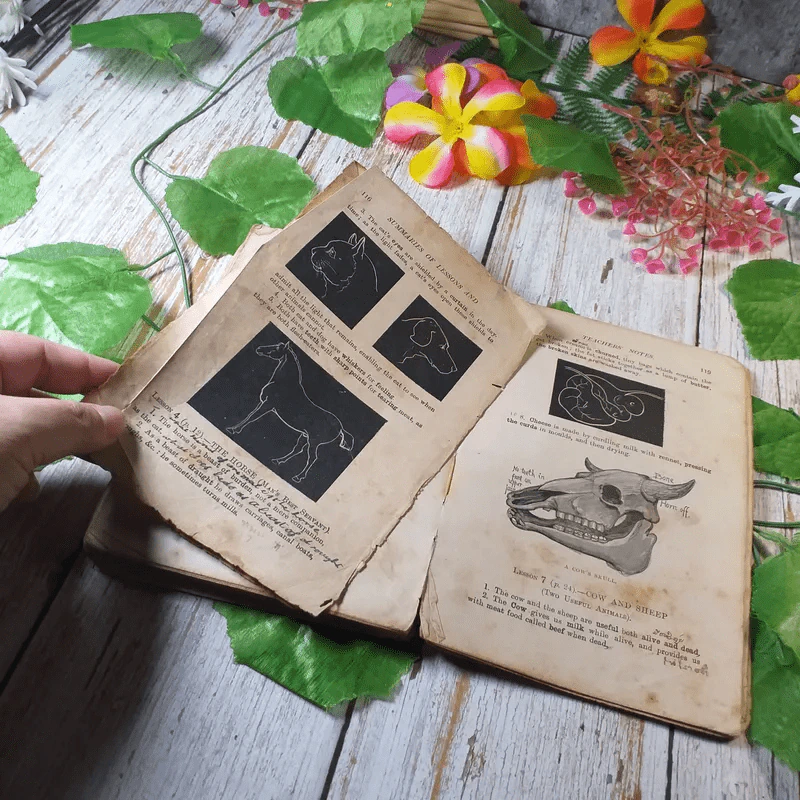Chatty Readings In Elementary Science รูปที่ 10