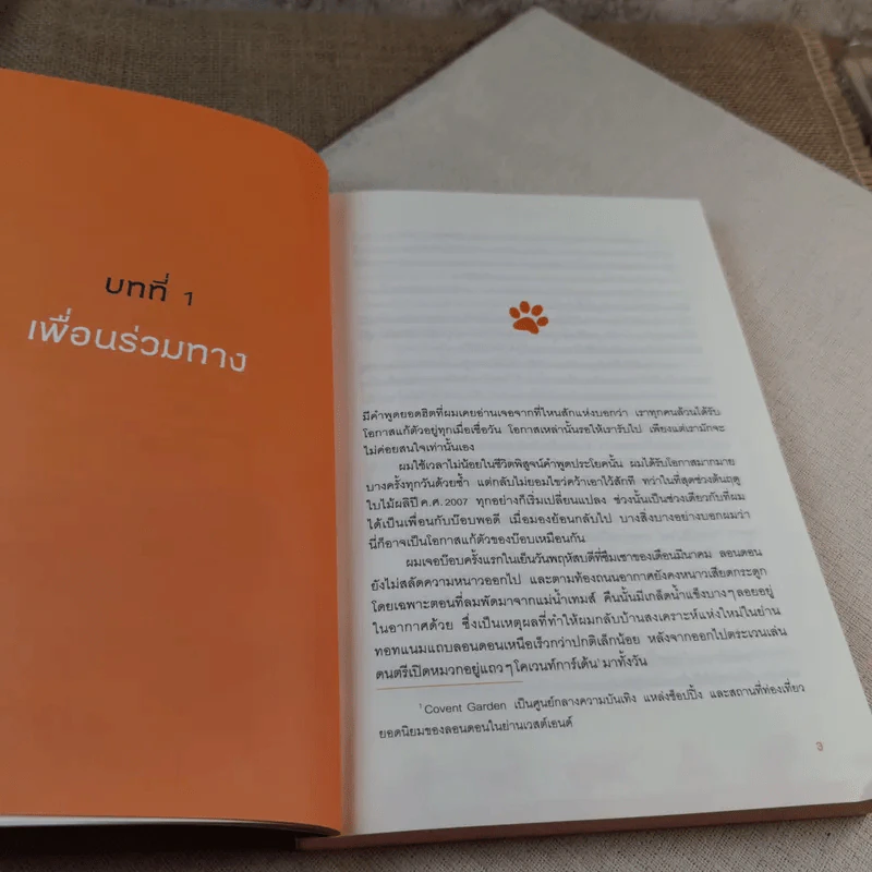 บ๊อบ แมวเตะฝันข้างถนน - เจมส์ โบเวน เขียน, ธิดารัตน์ เจริญชัยชนะ แปล รูปที่ 9