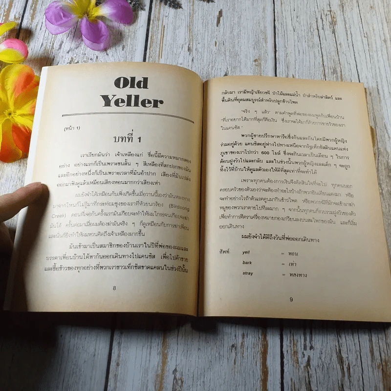 คู่มือ Old Yeller - Fred Gibson รูปที่ 8