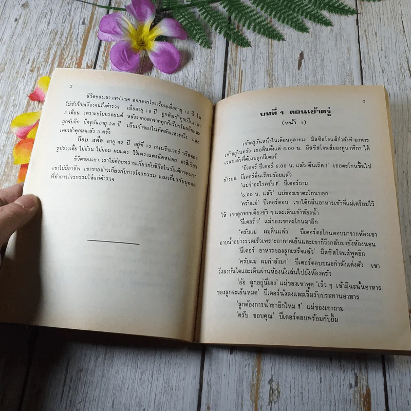 คู่มือ Bristol Murder - Philip Prowse รูปที่ 7