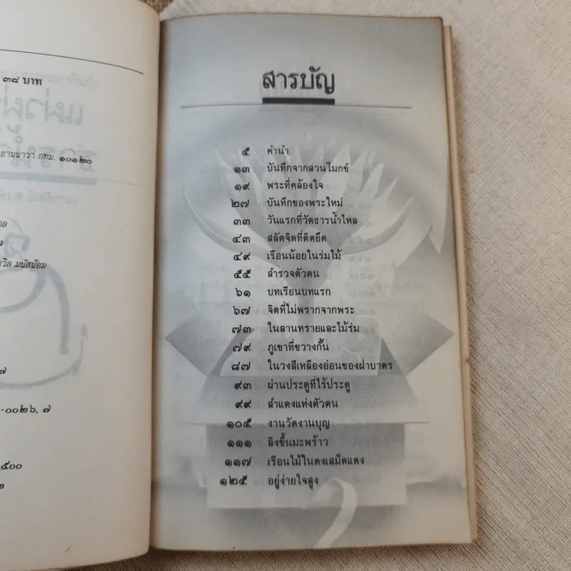 แผ่วผ่านธารน้ำไหล - เนาวรัตน์ พงษ์ไพบูลย์ รูปที่ 8