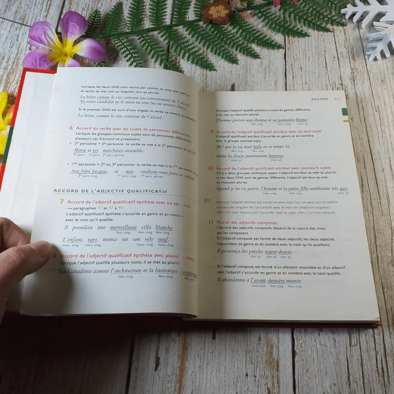 Bescherelle La Conjugaison+Grammaire - pour tous รูปที่ 13