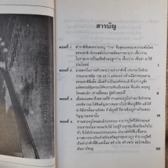 ศิลปแห่งลุ่มแม่น้ำโขง - ภราดร รัตนกุล รูปที่ 13