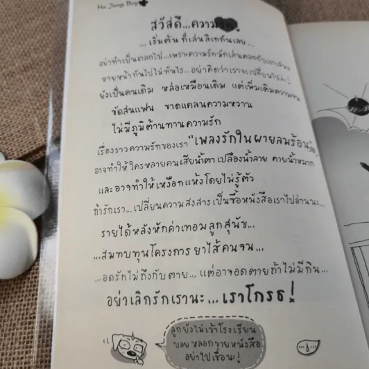 Ha Jung Boy เพลงรักในผายลมร้อน - Boy รูปที่ 8