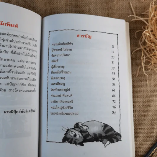 ความลับห้องสีฟ้า ชุด สารวัตรยอดนักสืบ รูปที่ 11