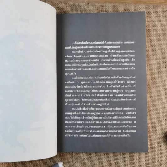 The Angel Boy เด็กชายพันธุ์เทวา Part I The World Book III - Black Back รูปที่ 13