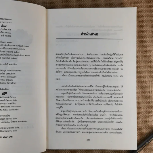 เต็ลมา - มารี คอเรลลี รูปที่ 10