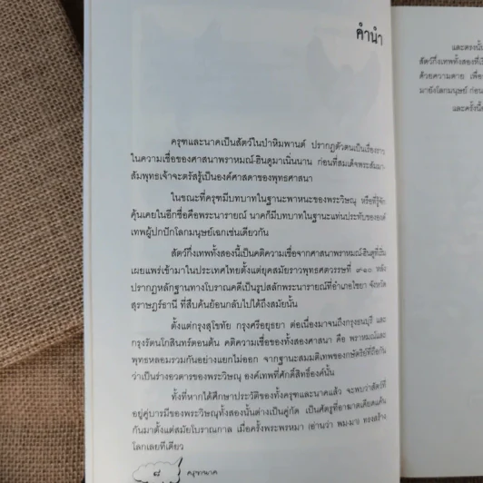 ครุฑนาค ภาคมหาศึกหิมพานต์ รูปที่ 13