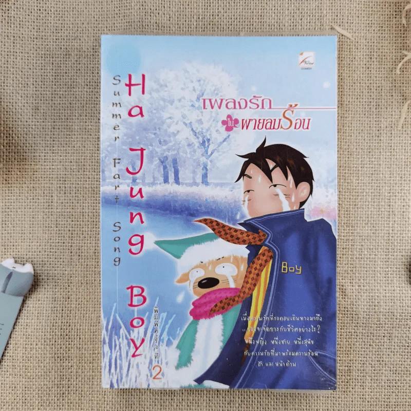 Ha Jung Boy เพลงรักในผายลมร้อน - Boy รูปที่ 1