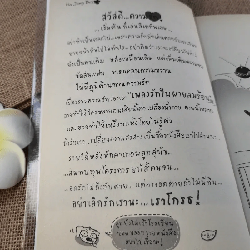 Ha Jung Boy เพลงรักในผายลมร้อน - Boy รูปที่ 8