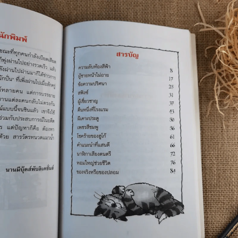 ความลับห้องสีฟ้า ชุด สารวัตรยอดนักสืบ รูปที่ 11