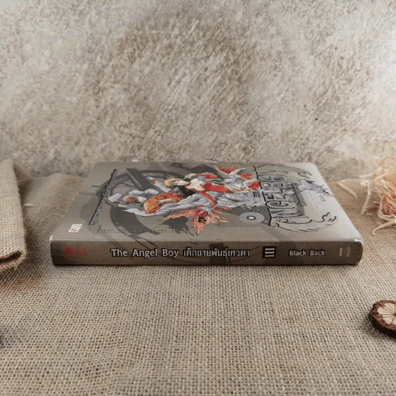The Angel Boy เด็กชายพันธุ์เทวา Part I The World Book III - Black Back รูปที่ 3