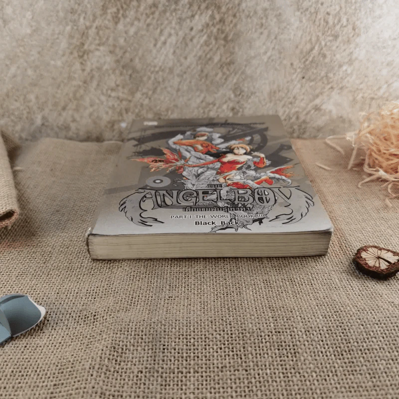 The Angel Boy เด็กชายพันธุ์เทวา Part I The World Book III - Black Back รูปที่ 4