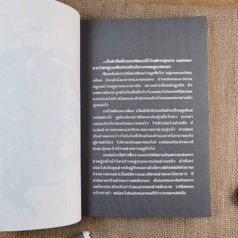 The Angel Boy เด็กชายพันธุ์เทวา Part I The World Book III - Black Back รูปที่ 13