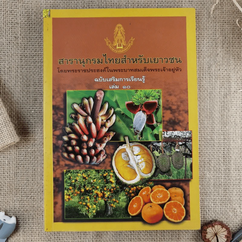 สารานุกรมไทยสำหรับเยาวชน ฉบับเสริมการเรียนรู้ เล่ม 1-7,9-14 รูปที่ 11