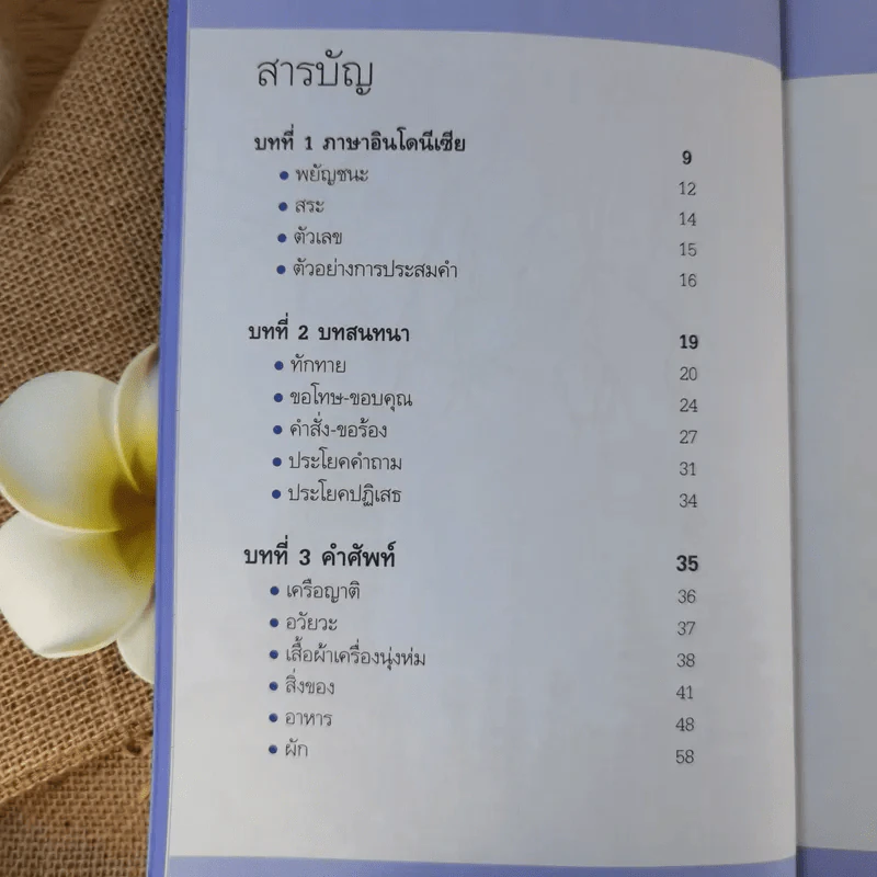 สนุกกับภาษาอินโดนีเซีย - ประเสริฐ สรรพอาสา รูปที่ 11