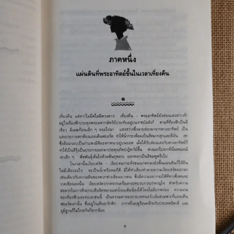 เต็ลมา - มารี คอเรลลี รูปที่ 12