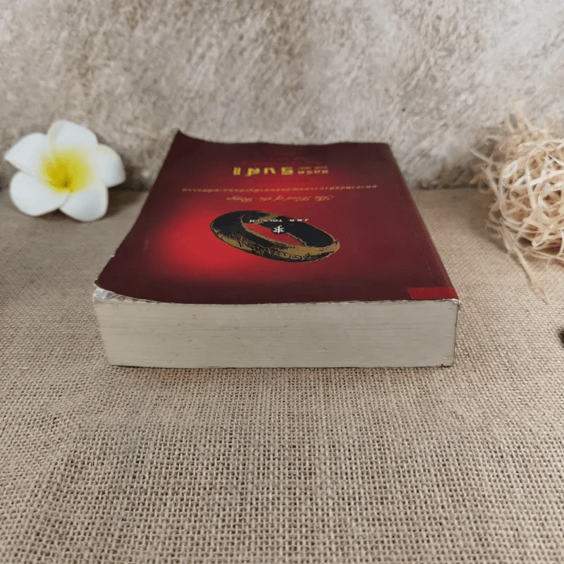 The Lord of the Rings ลอร์ด ออฟ เดอะ ริงส์ 2 ตอนหอคอยคู่พิฆาต รูปที่ 6