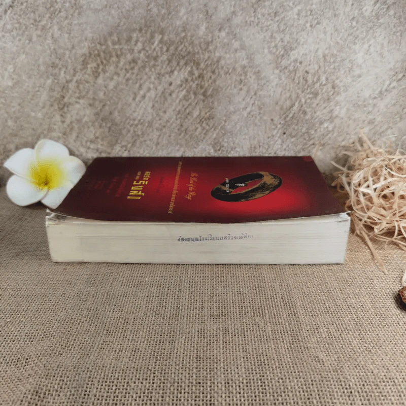 The Lord of the Rings ลอร์ด ออฟ เดอะ ริงส์ 2 ตอนหอคอยคู่พิฆาต รูปที่ 5