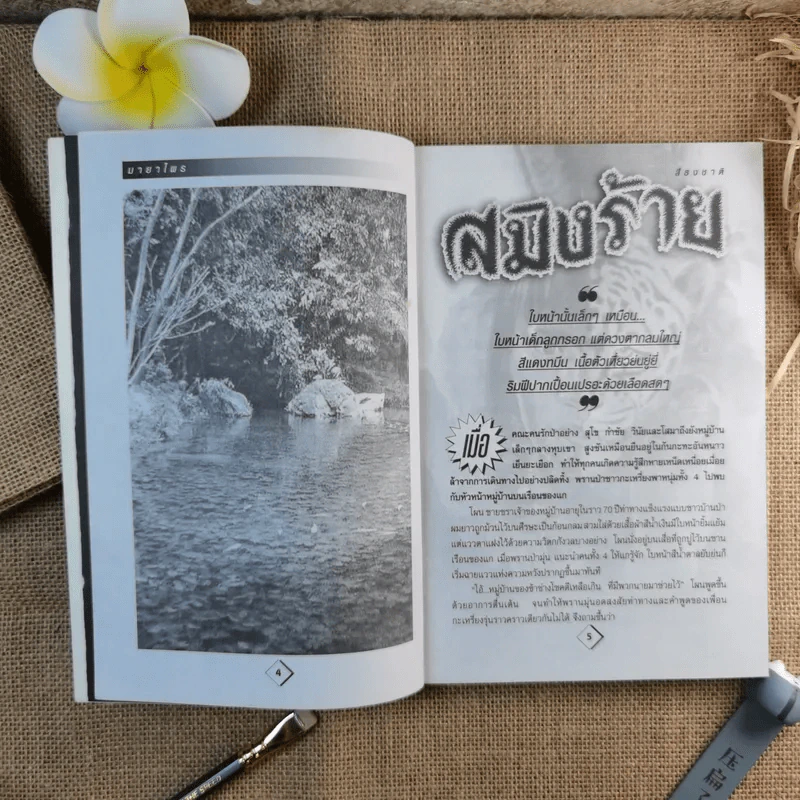 อาถรรพณ์-กฎป่า-มนต์เสน่ห์แห่งมายาไพร - สิธงชาติ รูปที่ 10