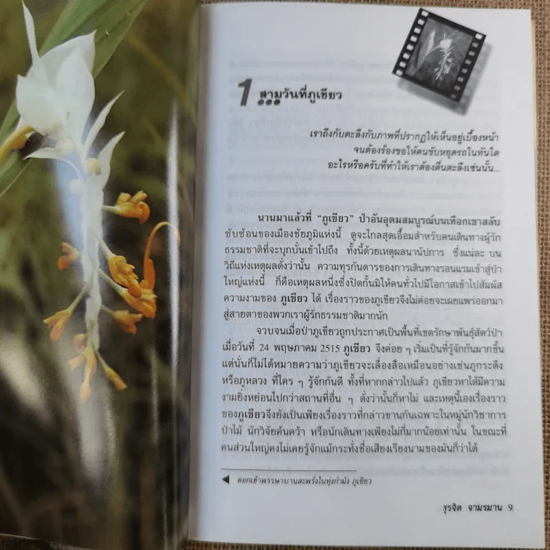 ย่ำดงลึก - สุรจิต จามรมาน รูปที่ 13