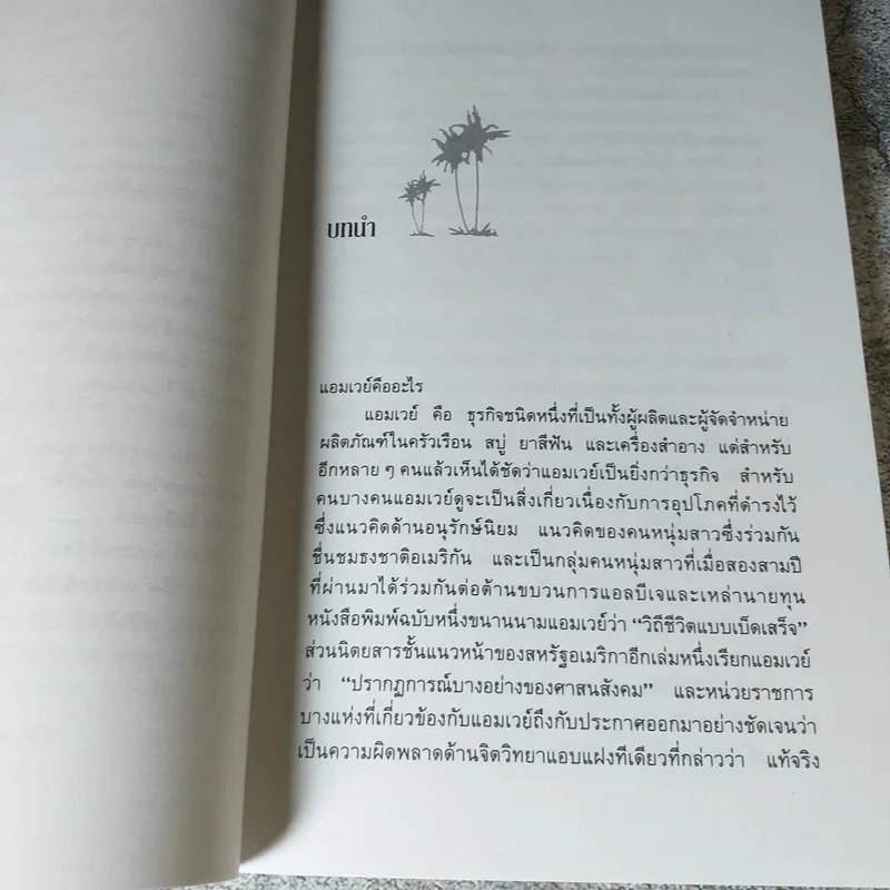 สู่ฝันอันยิ่งใหญ่ -  ชาร์ลส พอล คอนน์ รูปที่ 7