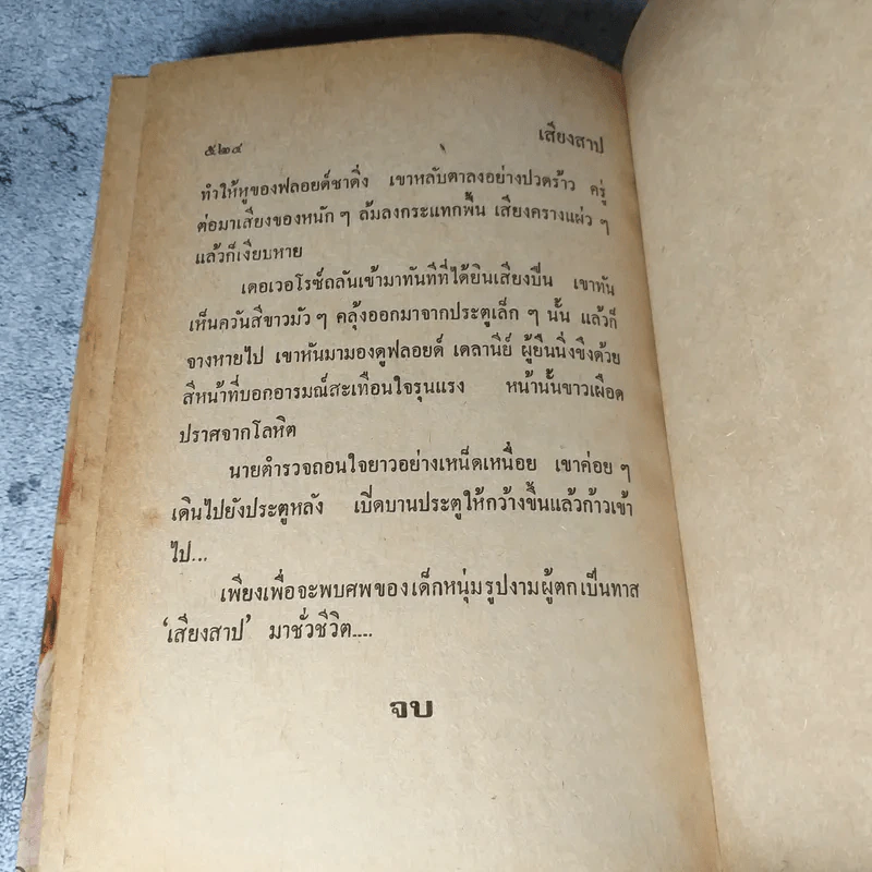 เสียงสาป - นิดา แปลจาก Not Safe To Be Free รูปที่ 5