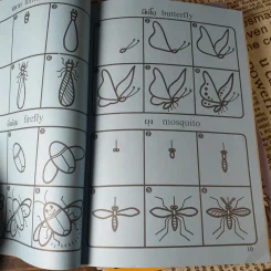 หัดวาดการ์ตูน เล่ม 3-5 รูปแมลง+รูปสัตว์ปีก+รูปสัตว์น้ำ รูปที่ 8