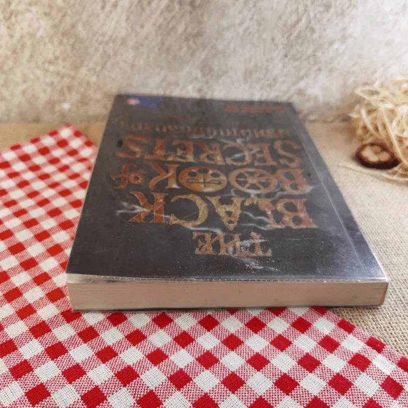 The Black Book of Secrets ปริศนาบันทึกลับสีดำ รูปที่ 6