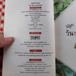 ปลูกผักวันหยุด Holiday Plan - ลลนา แสงอาทิตย์ รูปที่ 7