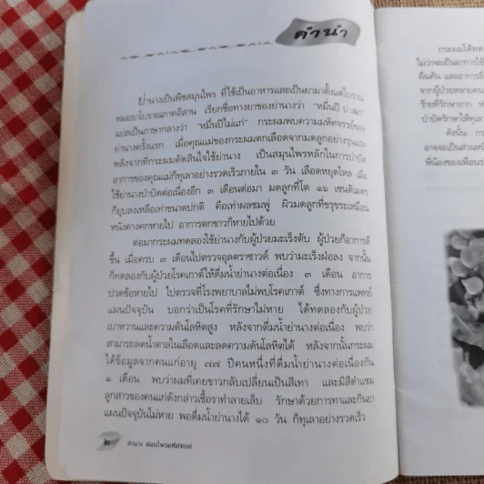 ย่านาง - ใจเพชร มีทรัพย์ (หมอเขียว) รูปที่ 8