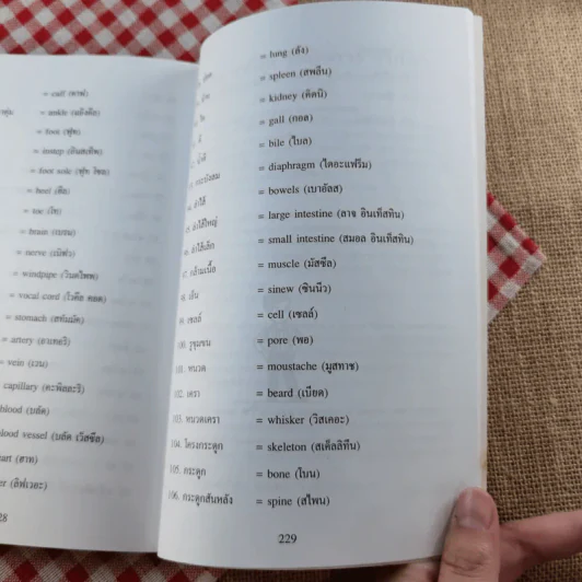 สนทนาภาษาอังกฤษสำหรับครอบครัว - ลำดวน (ธนพล) จากใจดี รูปที่ 13
