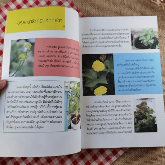 ปลูกผักวันหยุด Holiday Plan - ลลนา แสงอาทิตย์ รูปที่ 8