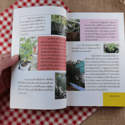 ปลูกผักวันหยุด Holiday Plan - ลลนา แสงอาทิตย์ รูปที่ 9