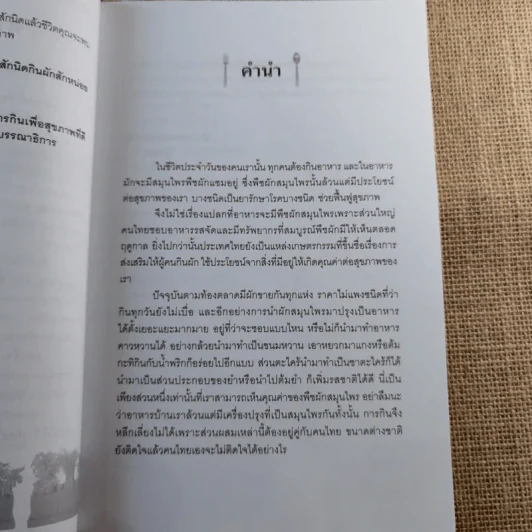 ผักพื้นบ้านสุดยอดสมุนไพรต้านโรค - บุรีรมย์ รูปที่ 9